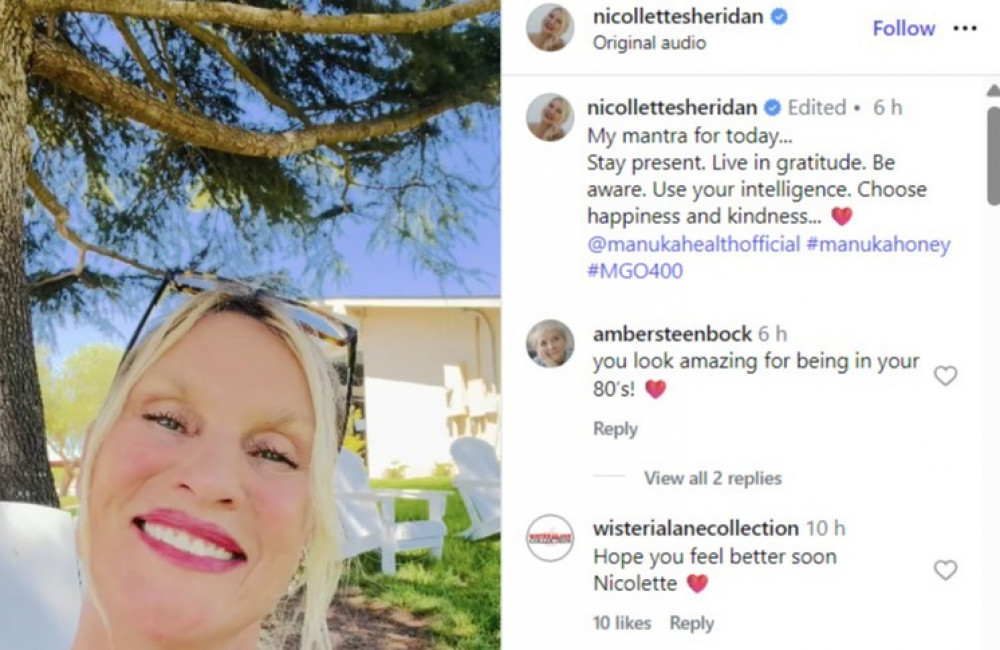 Nicollette Sheridan Suffers Third-Degree Rope Burns in Dog Mishap